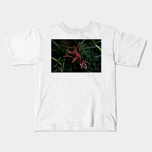 Grevillea Close Up Kids T-Shirt